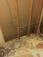Water Damage Cleanup image 21
